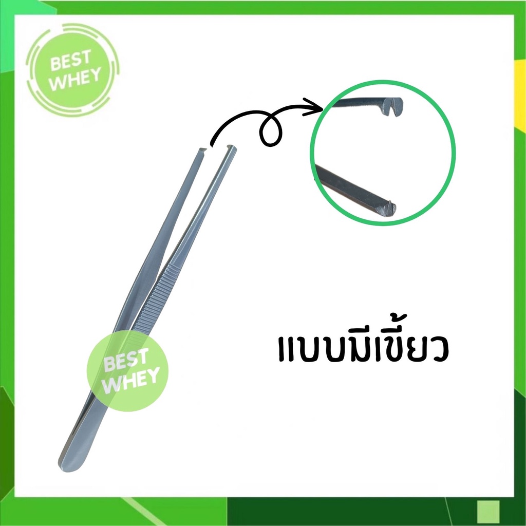 forcep-ฟอร์เซปสแตนเลส-ที่คีบ-ปลายตรง-มีเขี้ยว-ขนาด-12-5cm-14cm-และ-16cm-ยี่ห้อ-sair