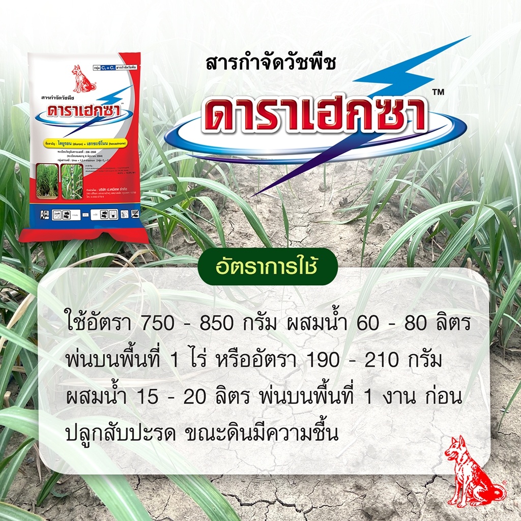 ดาราเฮกซา-ขนาด-1-กก-สารกำจัดวัชพืช