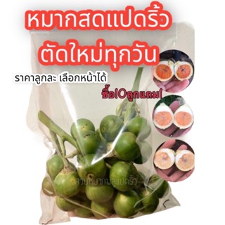 สินค้า หมากสด เกรดพรีเมี่ยม ตัดใหม่ทุกวันจากสวน หมากฝาด หมากเคี้ยว หน้าอ่อน หน้าเหนียว แจ้งได้ หมากแปดริ้ว ขายเป็นลูก