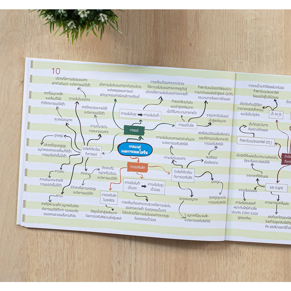 หนังสือ-key-map-ม-1-ทุกวิชา-แผนที่ความคิด-8859099307567