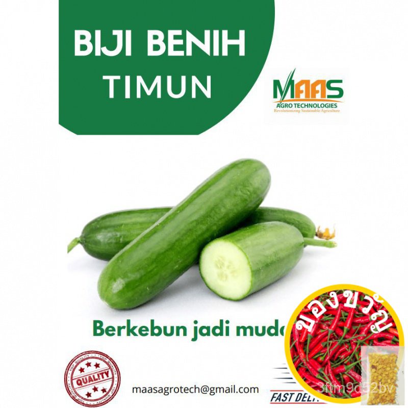 ซื้อ10ฟาด1-maas-agro-technologies-กุหลาบ-กระโปรง-เล็ก-แอปเปิ้ล-ด-gmmc