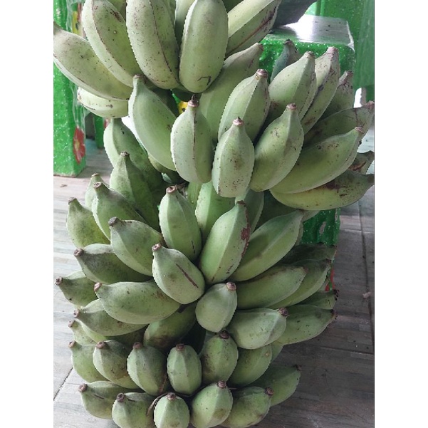 ภาพหน้าปกสินค้ากล้วยน้ำหว้า ออเเกนิกส์จากสวน กล้วยเเน่นใหญ่ ตัดสดจากต้น กล้วยจากต้น 1 หวี เนื้อเเน่น