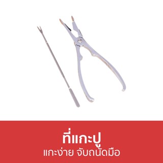 ที่แกะปู แกะง่าย จับถนัดมือ - แกะปู ที่หนีบปู คีมแกะปู ที่หนีบก้ามปู ที่แกะปูแกะหอย ที่แกะปูทะเล