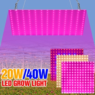 Full Spectrum LED Grow Light 220V ไฟปลูกต้นไม้ Greenhouse Seedling Plant Growth lamp ไฮโดรโปนิกส์ 20W 40W เมล็ดพันธุ์ดอกไม้