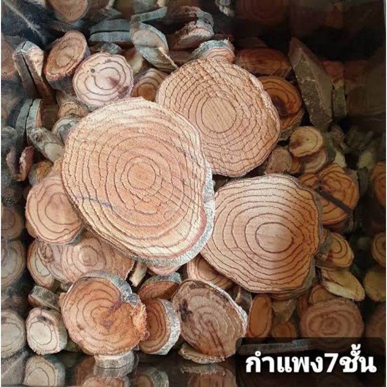 กำแพงเจ็ดชั้น-กิโลกรัมล่ะ69