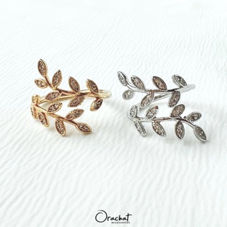 ภาพหน้าปกสินค้าGiant olive leaf ring. (แหวนใบมะกอก งานชุบทองคำขาว เพชร CZ) ที่เกี่ยวข้อง