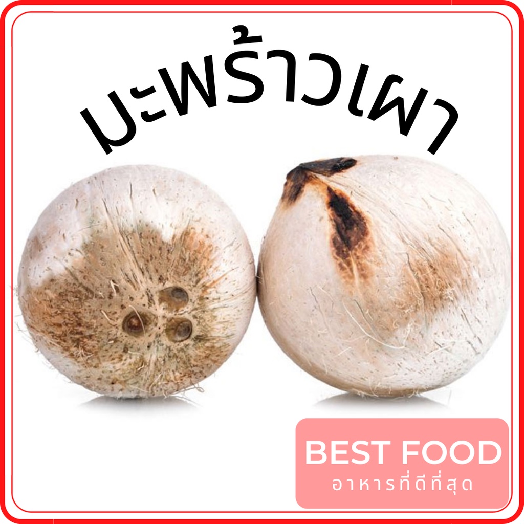 มะพร้าวเผา-toasted-coconut