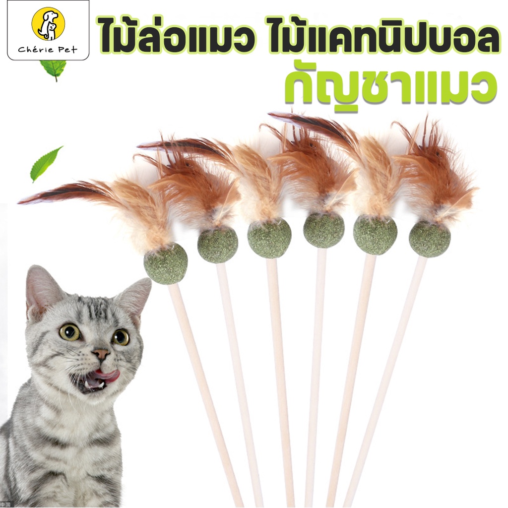 catnip-toy-ไม้ล่อแมวแคทนิป-ไม้ตกแมว-ใส่แคทนิปบอล-ของเล่นแมว-กัญชาแมว-ผลิตจากวัสดุธรรมชาติ-100