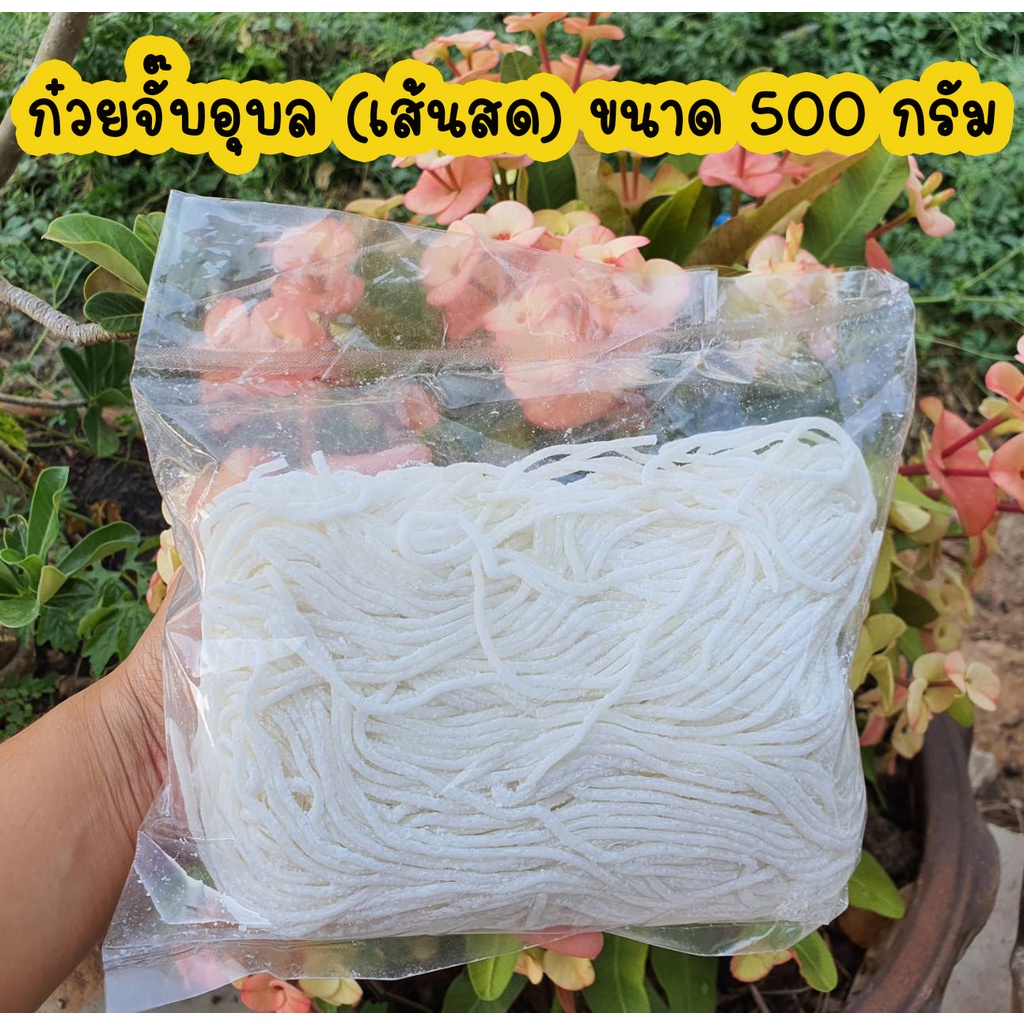 รูปภาพสินค้าแรกของเส้น ก๋วยจั๊บอุบลเส้นสด เส้นก๋วยจั๊บญวน ห่อละ 500 กรัม (เส้นสด)(เส้นเล็ก) ทานได้ 4-5 ชาม