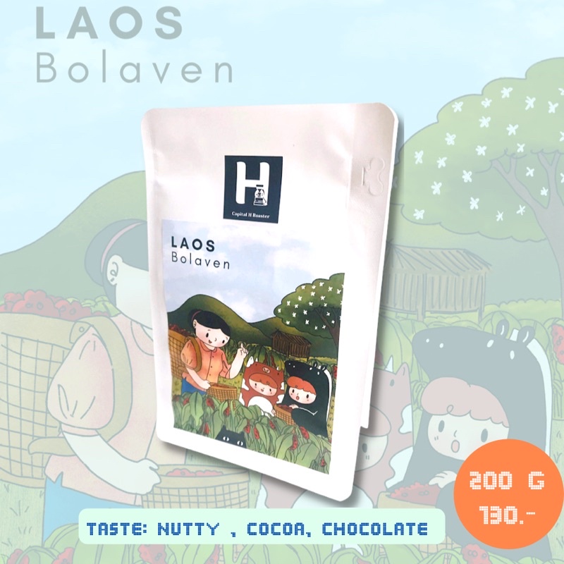 เมล็ดกาแฟคั่ว-laos-bolaven-แนะนำ-250g-1-000g