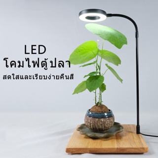 ภาพหน้าปกสินค้าไฟภูมิทัศน์ขนาดเล็ก 10W LED เติมแสงพิพิธภัณฑ์สัตว์น้ำพืชแสง USB เติมแสง ไฟเติมพืช ที่เกี่ยวข้อง