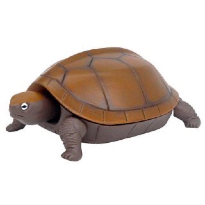 พร้อมส่ง-กาชาปองน้องเต่าไฮสปีด-high-speed-turtle-ของแท้