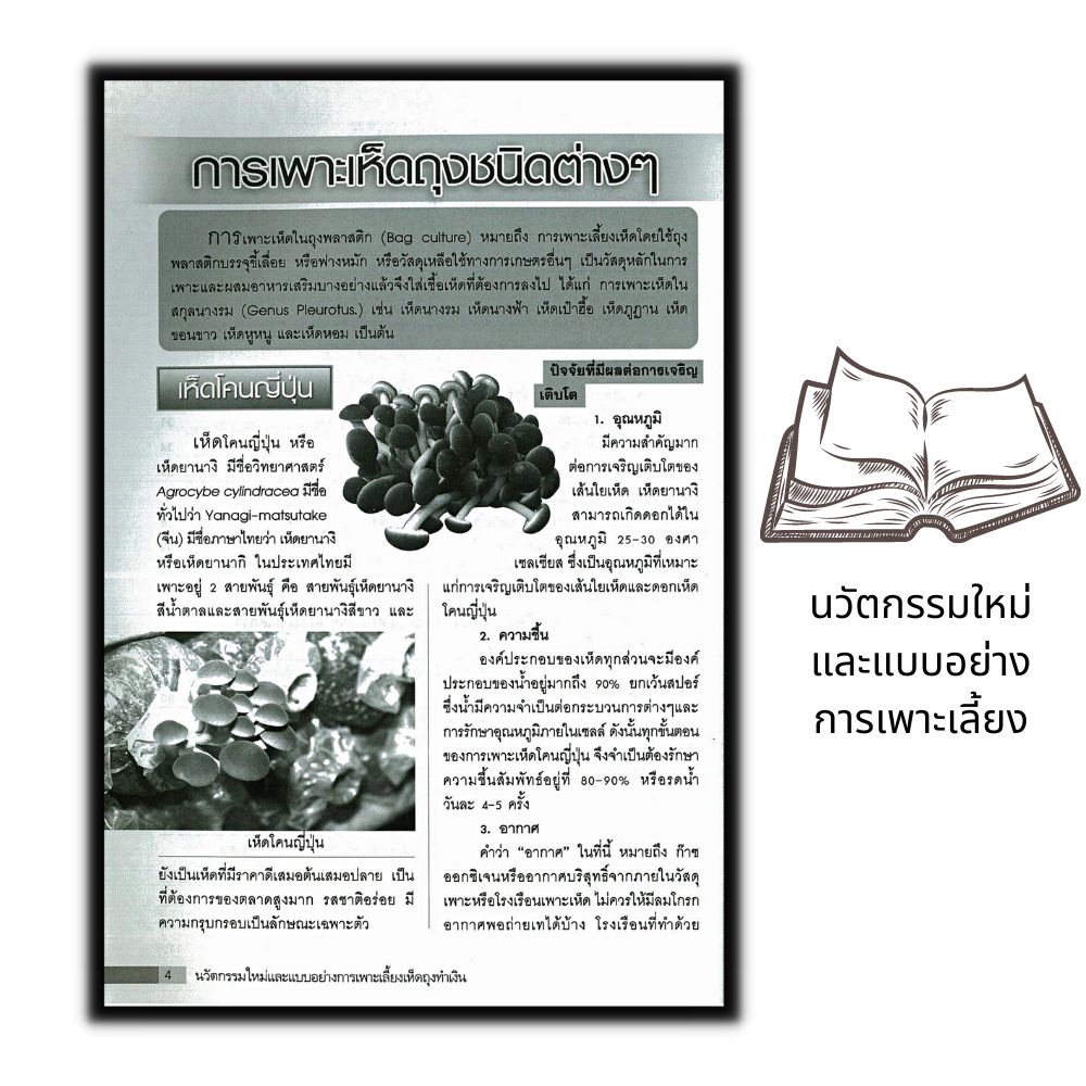 หนังสือ-นวัตกรรมใหม่และแบบอย่างการเพาะเลี้ยงเห็ดถุงทำเงิน-เห็ด-การเพาะเห็ด-พืชและการเกษตร-การขยายพันธุ์พืช-พืชเศรษฐกิจ