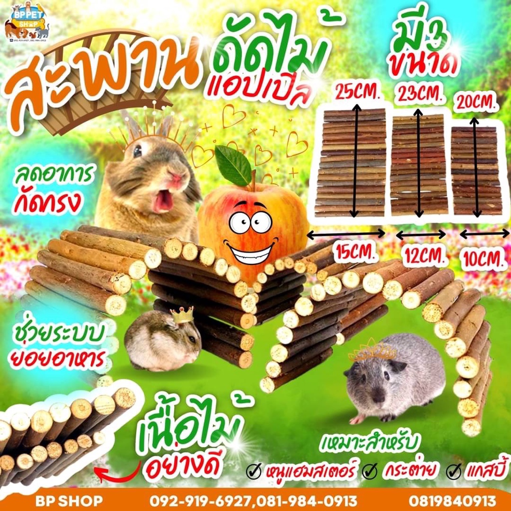 bp-pets-สะพานโค้งไม้-สะพานไม้แอปเปิ้ล-สะพานดัด-ของเล่นไม้-สำหรับสัตว์เลี้ยง-แฮมสเตอร์-เม่นแคระ-ของเล่นสัตว์เล็ก