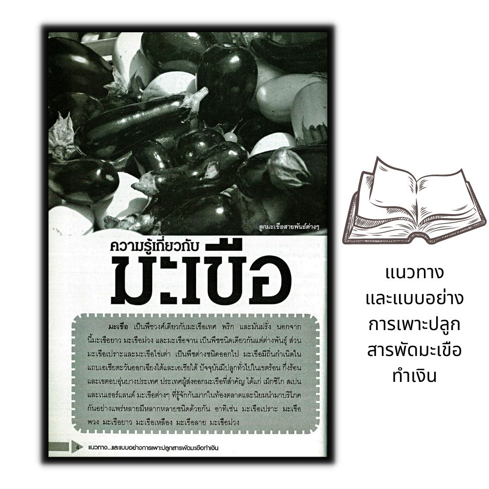 หนังสือ-แนวทาง-และแบบอย่างการเพาะปลูกสารพัด-มะเขือ-ทำเงิน-พืชและการเกษตร-การปลูกผัก-คู่มือการเพาะปลูก-การปลูกมะเขือ