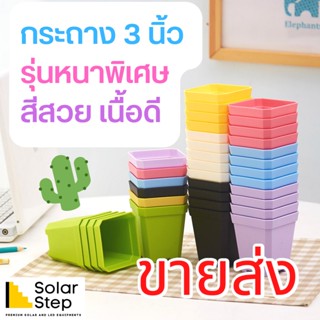 Double P Home กระถาง 3 นิ้ว กระถางแคคตัส สีพาสเทล รุ่นหนาพิเศษ เกรดพรีเมี่ยม กล่องใส่ปากกา