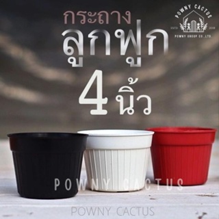 ราคา❤ขั้นต่ำ 5 ใบ คละได้ทั้งร้านนะคะ❤กระถาง 4 นิ้ว กระถางลูกฟูก ทรงกลม ราคาถูกจ้า