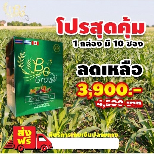 ปุ๋ยชีวภาพ-be-grow-บีโกร-ปุ๋ยบีโกร-1-กล่องมี-10-ซอง-สารเพิ่มประสิทธิภาพพืช-อาหารเสริมพืช-1-ซอง-ผสมน้ำ-800-ลิตร