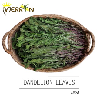 ภาพหน้าปกสินค้าใบแดนดิไลออน - Dandelion leaves by Merryn Exotic (150G) ที่เกี่ยวข้อง