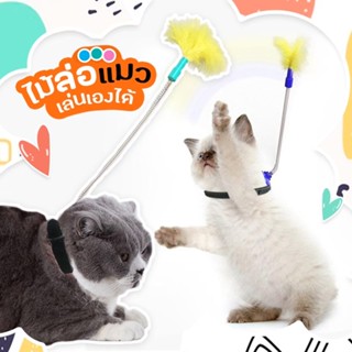 พร้อมส่ง 🌈 ของเล่นแมว ไม้ตกแมว เล่นด้วยตนเอง เหมาะสำหรับสถานการณ์ต่างๆ มีหลายสีให้เลือก ไม้ล่อแมว ของเล่นแมว