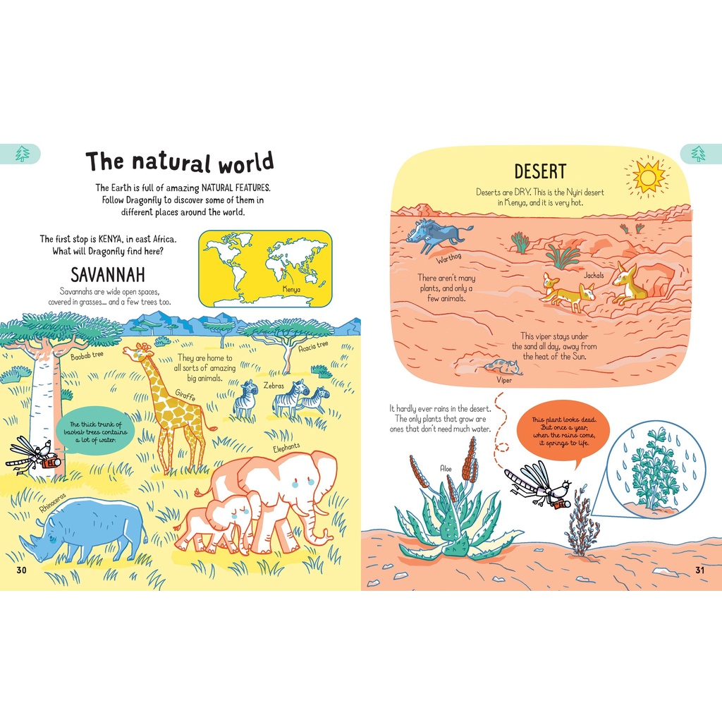 dktoday-หนังสือ-usborne-all-you-need-to-know-about-our-world-by-age-7-age-5