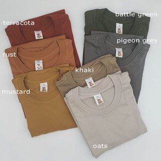 เสื้อยืดผ้าฝ้ายพิมพ์ลายขายดี ▬۩❐TNF PLAINS | 3K Premium Cotton Earth Colors