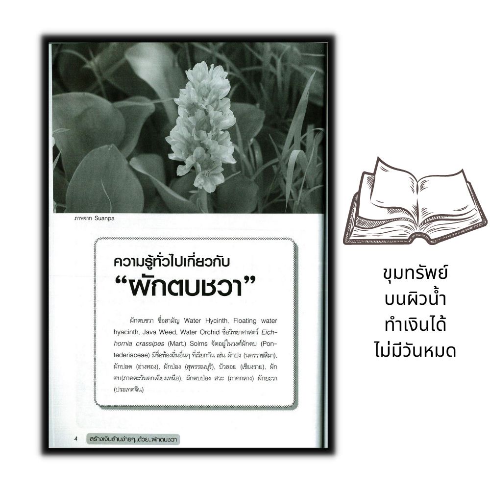 หนังสือ-สร้างเงินล้านง่าย-ๆ-ด้วย-ผักตบชวา-พืชและการเกษตร-พืชเศรษฐกิจ-ศิลปหัตถกรรม