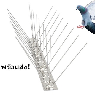 หนามไล่นก Bird Spikes หนามไล่นก ไล่นกพิราบ ที่ดักนก กันนกพิราบ กันนกเกาะ อุปกรณ์ไล่นกทำรัง ทนทาน