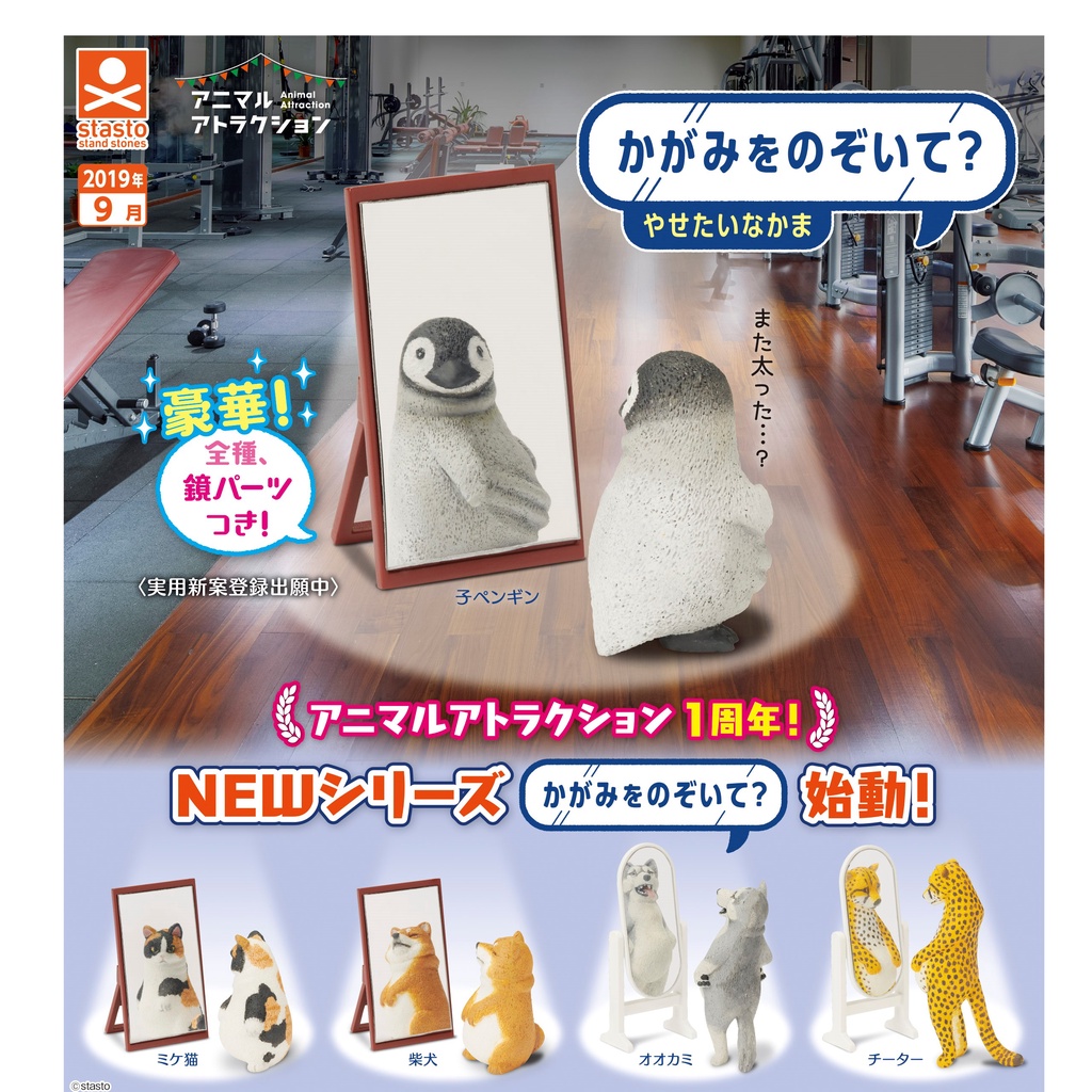 แยก-กาชาปอง-ตุ๊กตาสัตว์ส่องกระจก-กาชาปองญี่ปุ่นแท้-สินค้าพร้อมส่ง