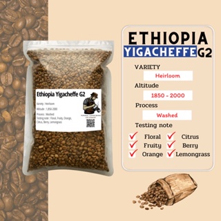 สินค้า ☕️ สารกาแฟเอธิโอเปีย Ethiopia Yirgacheffe G1/G2 Wash / Natural Process เมล็ดกาแฟดิบ Pumirak_Coffee.Beans