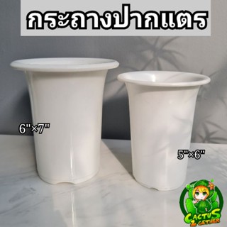 กระถางปากแตรทรงญี่ปุ่น‼️ทรงสูง เนื้อหนา เนื้อเงา สวย