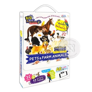 Bundanjai (หนังสือเด็ก) Big Smart Flash Cards for Genius Kids ชุดสัตว์เลี้ยงและสัตว์ในฟาร์ม Pets &amp; Farm Animals (ขนาด