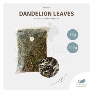 Chillavilla | ใบแดนดิไลออน / Dandelion Leaves