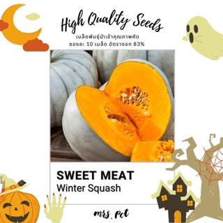 เมล็ดฟักทองนำเข้า สายพันธุ์ Sweet Meat Winter Squash