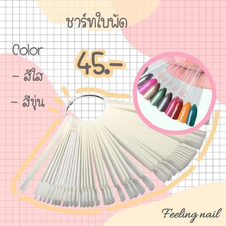 ชาร์ทใบพัด-ชาร์ทสี-45