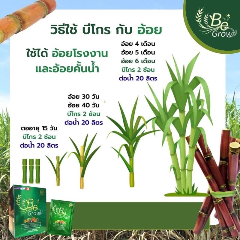 ของแท้-ปุ๋ยชีวภาพ-be-grow-บีโกร-ปุ๋ยบีโกร-1-กล่องมี-10-ซอง-สารเพิ่มประสิทธิภาพพืช-อาหารเสริมพืช-1-ซอง-ผสมน้ำ-800-ลิตร