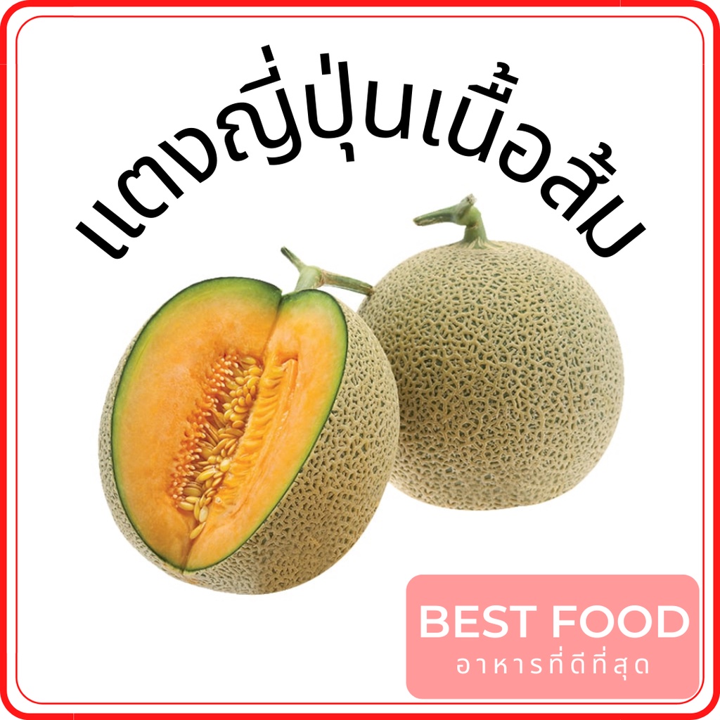 เมล่อนญี่ปุ่นเนื้อส้ม-แตงญี่ปุ่นเนื้อส้ม-pearl-melon-orange