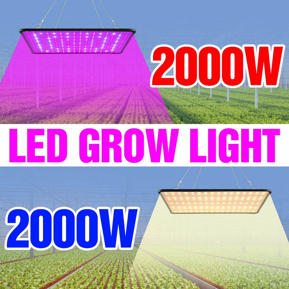 โคมไฟช่วยการเจริญเติบโตของพืช-led-2000w-110v-สําหรับปลูกพืชเรือนกระจก-ดอกไม้-220v