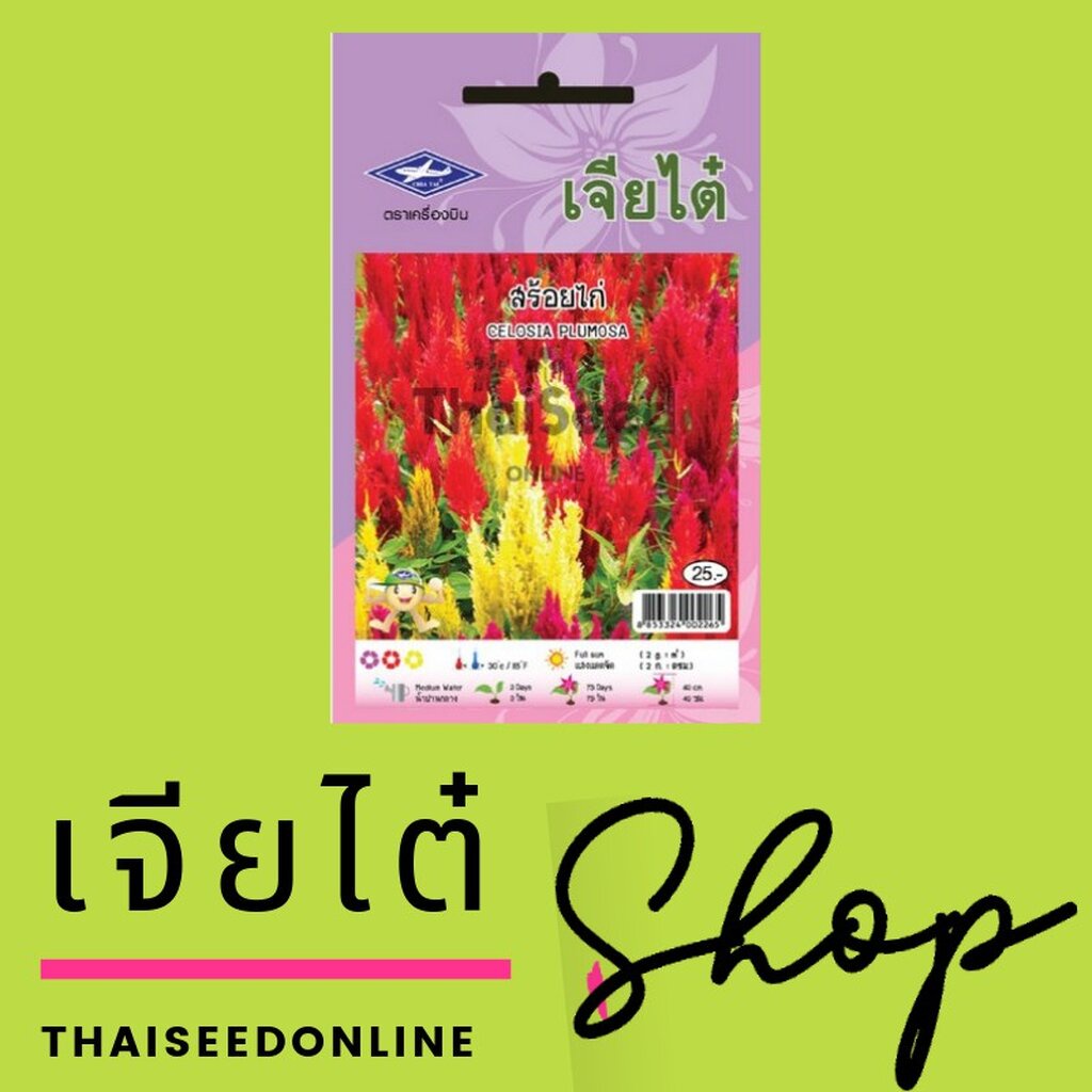 ภาพสินค้าCTFW เมล็ดพันธุ์ดอกไม้ สร้อยไก่คละสี 0.1กรัม ตราเจียไต๋ เมล็ดดอกไม้ Celosia Plumosa จากร้าน thaiseedonline บน Shopee ภาพที่ 2