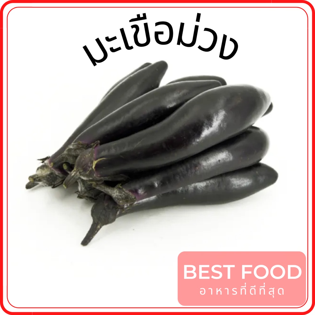 มะเขือม่วง-eggplant-ราคาถูก