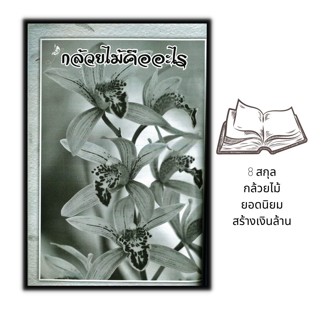 หนังสือ-8-สกุลกล้วยไม้ยอดนิยม-สร้างเงินล้าน-กล้วยไม้-ไม้ดอก-การขยายพันธุ์พืช-พืชเศรษฐกิจ-การปลูกกล้วยไม้