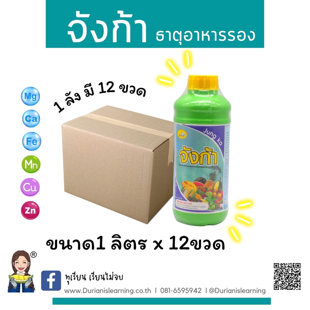 จังก้า-ธาตุอาหารรวม-ผสมเสร็จในขวดเดียว