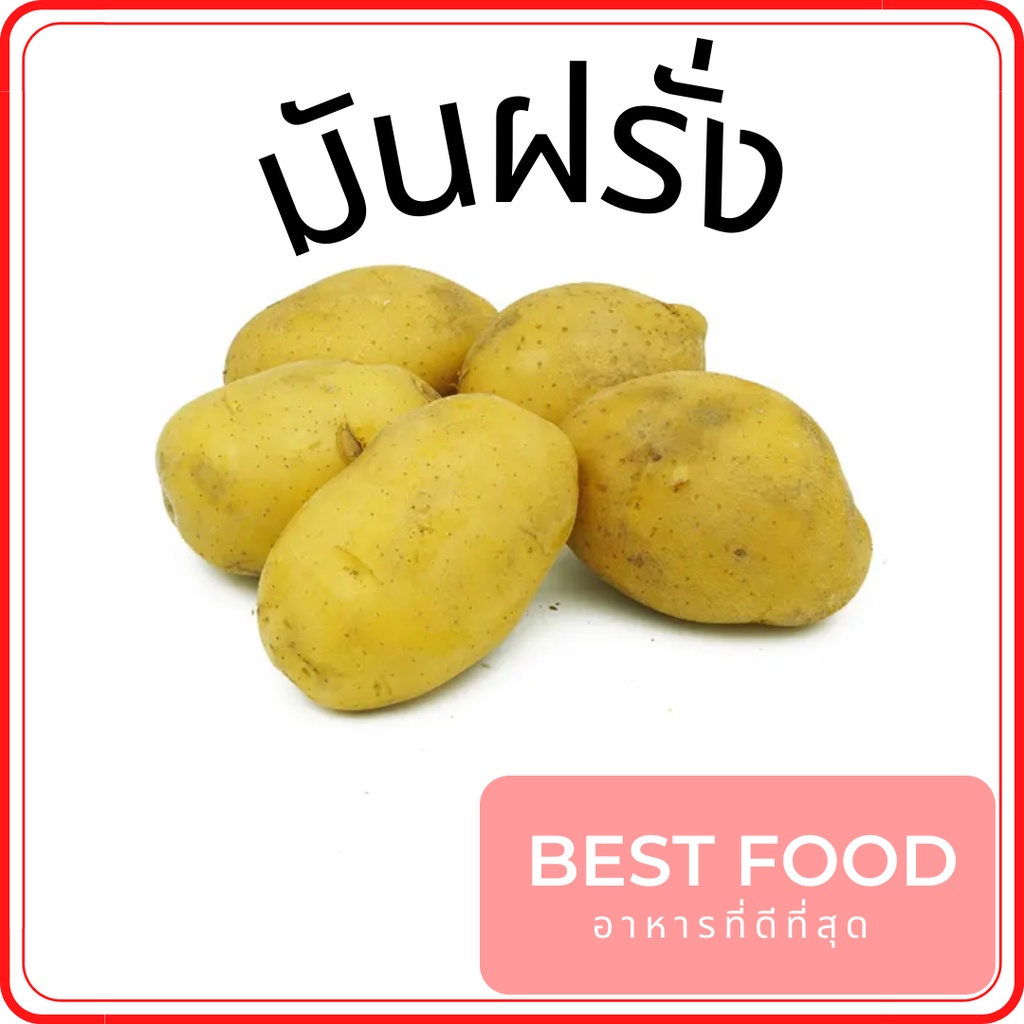 มันฝรั่ง-potato-ราคาถูก