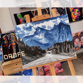 Drofe 【20*30 &amp; 40*50 ซม. ไม่มีกรอบ】ภาพวาดสีน้ํามัน ตามตัวเลข DIY สําหรับตกแต่งบ้าน ของขวัญวันเกิด