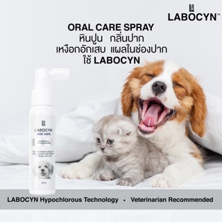 ภาพขนาดย่อของภาพหน้าปกสินค้าLabocyn Oral Care Spray 50ml สำหรับสุนัขและแมว จากร้าน doggypotion_officialstore บน Shopee