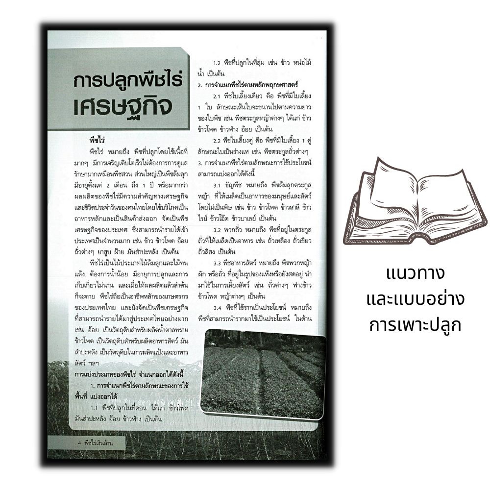 หนังสือ-พืชไร่เงินล้าน-พืชและการเกษตร-การลงทุน