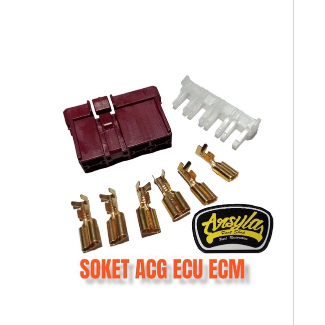 ซ็อกเก็ต acg ECM ECU beat fi beat pop esp ECO street esp Scoopy esp ...