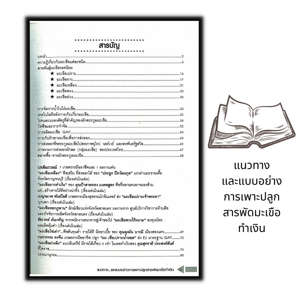 หนังสือ-แนวทาง-และแบบอย่างการเพาะปลูกสารพัด-มะเขือ-ทำเงิน-พืชและการเกษตร-การปลูกผัก-คู่มือการเพาะปลูก-การปลูกมะเขือ