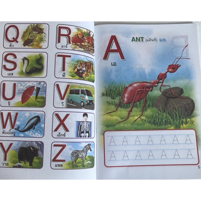 แบบฝึก-อ่านเขียน-ภาษาอังกฤษ-a-z