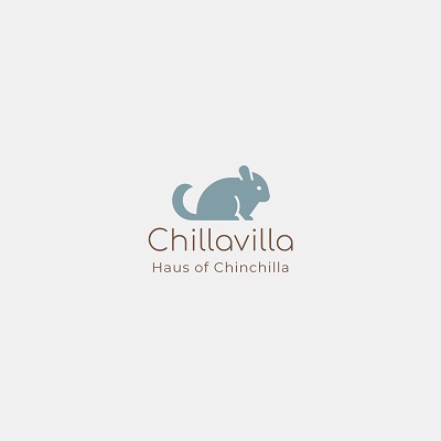 chillavilla-รากแดนดิไลออนออร์แกนิค